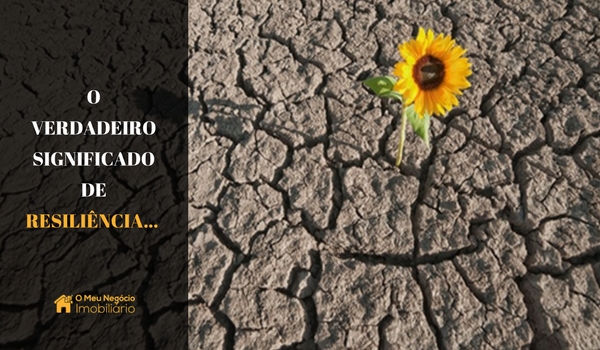 O verdadeiro significado de resiliência…