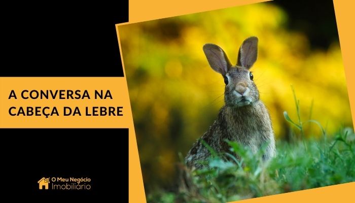 A conversa na cabeça da lebre….