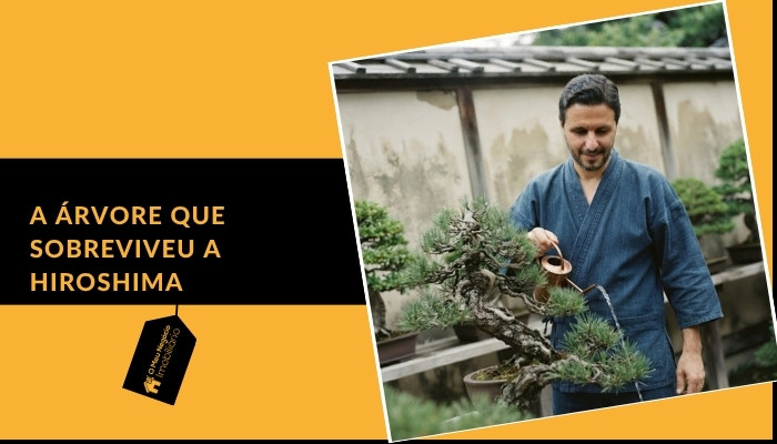 A árvore que sobreviveu a Hiroshima